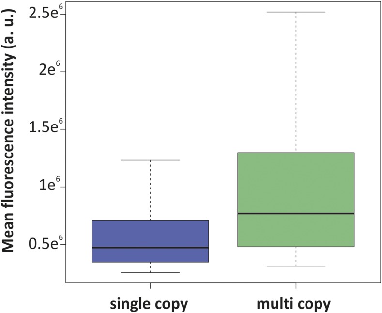 Figure 7