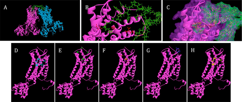 Figure 6.