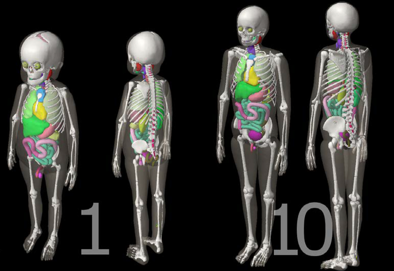 Figure 3: