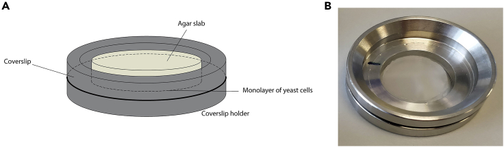 Figure 3