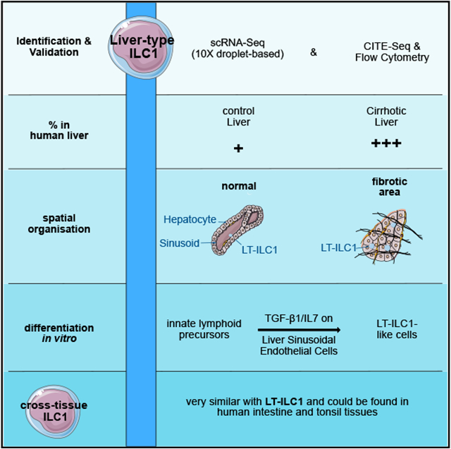 graphic file with name nihms-1870503-f0001.jpg