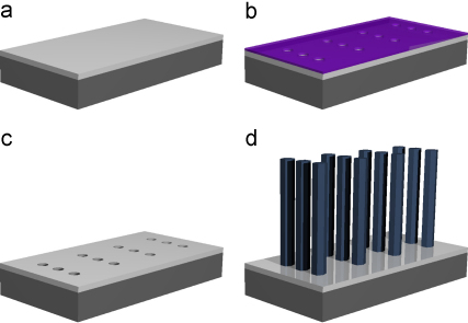 Fig. 1