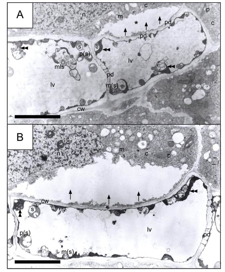 Fig 7