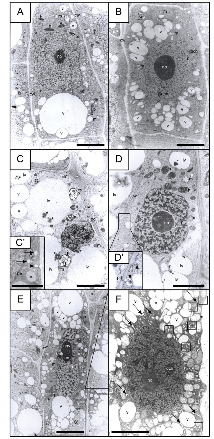 Fig 6