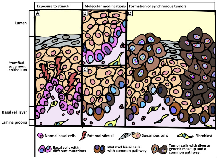 Figure 3