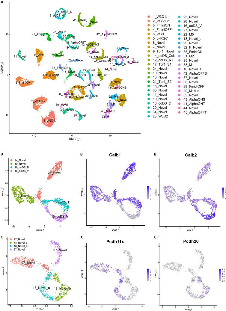 Figure 6