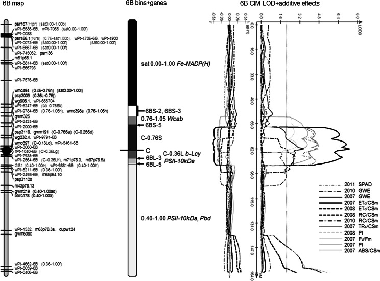 Fig. 1