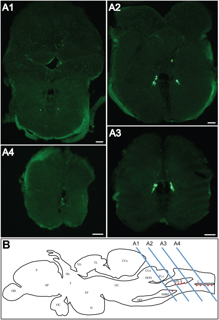 Fig 3