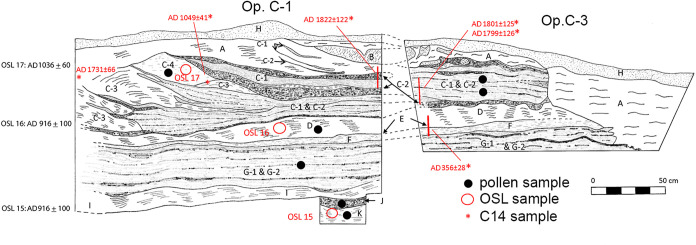 Fig 3