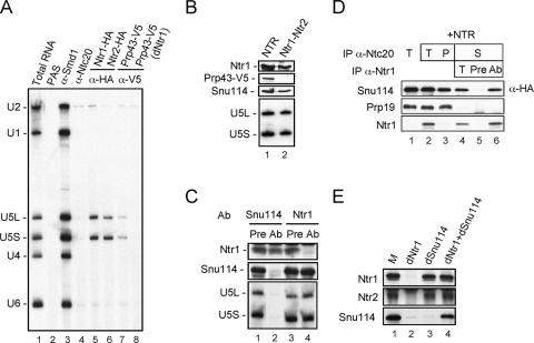 FIG. 4.