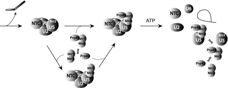 FIG. 8.