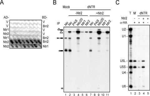 FIG. 7.