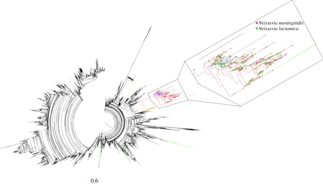 Figure 3.