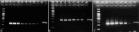 Figure-2