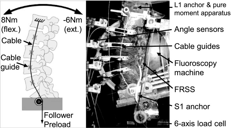 Fig. 4