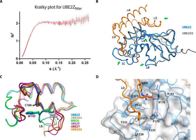 FIGURE 2.