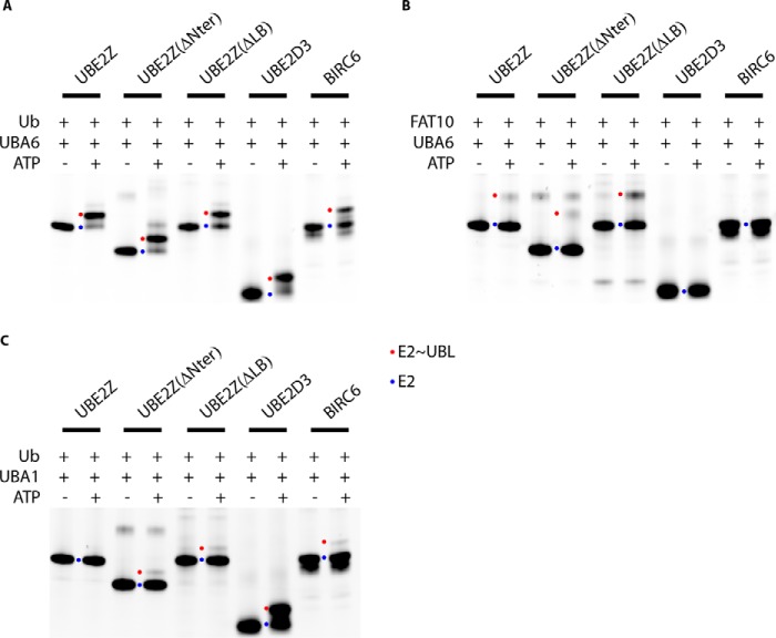 FIGURE 3.