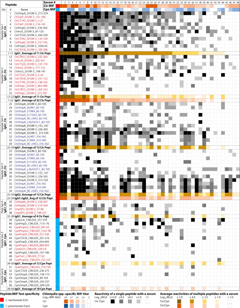 FIG 6 