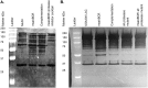 FIG 12