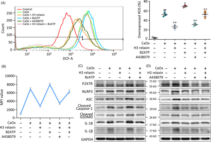 FIGURE 4