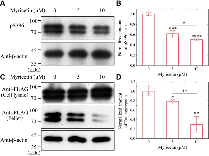 Figure 4