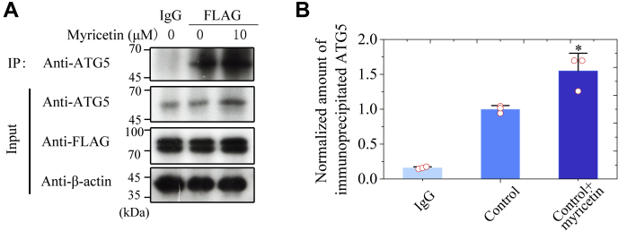 Figure 6