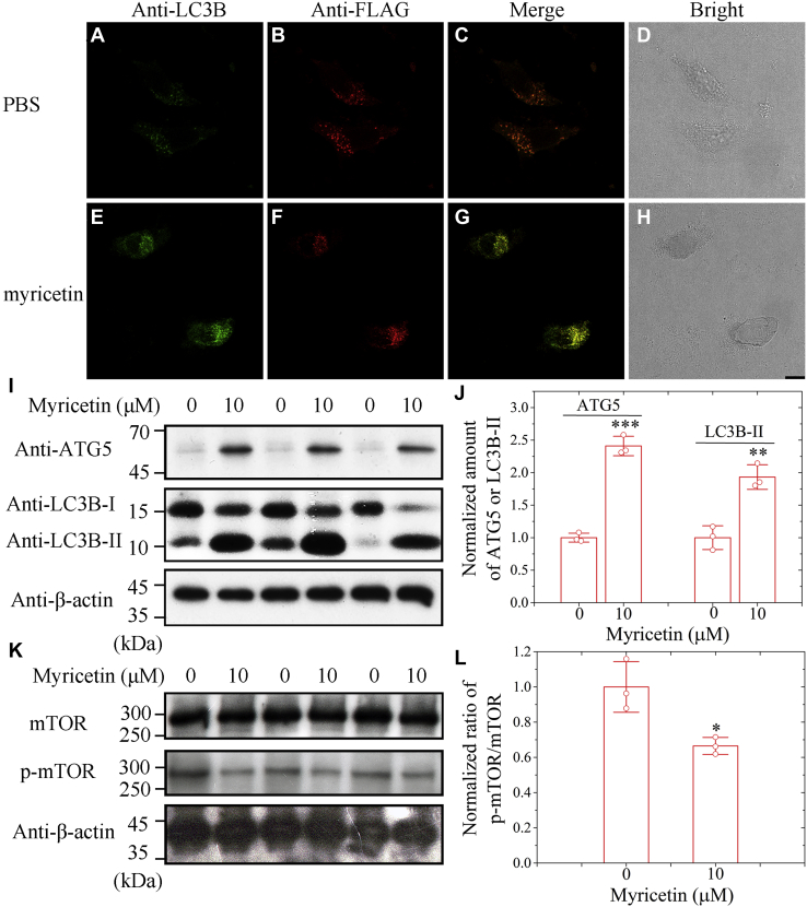 Figure 5