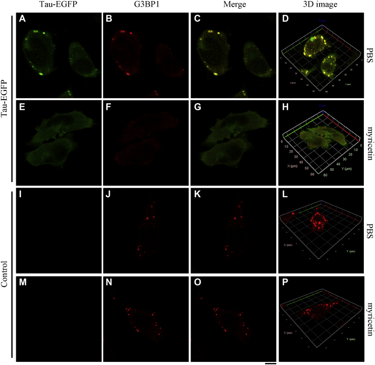 Figure 3