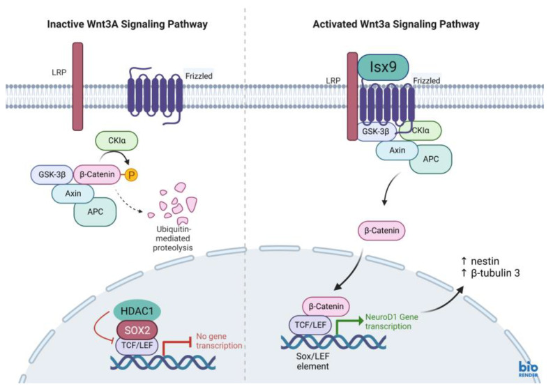 Figure 16