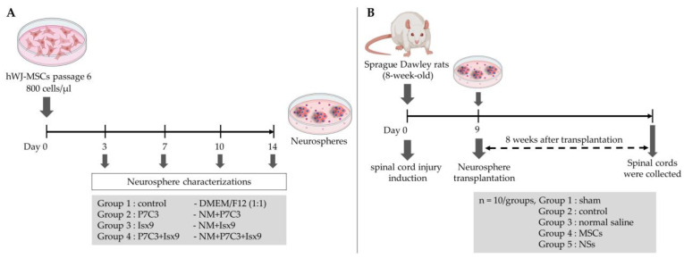 Figure 17