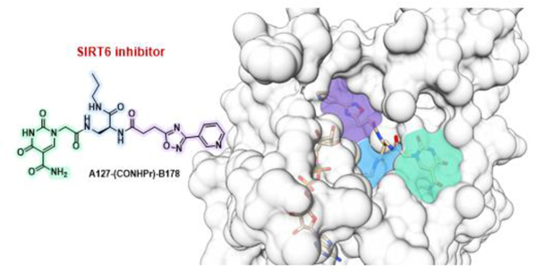 graphic file with name nihms-2020538-f0001.jpg