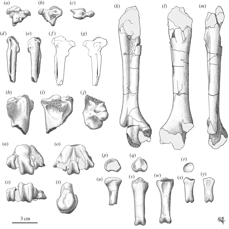 Figure 3.