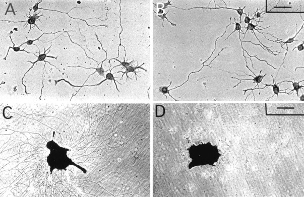 Fig. 9.