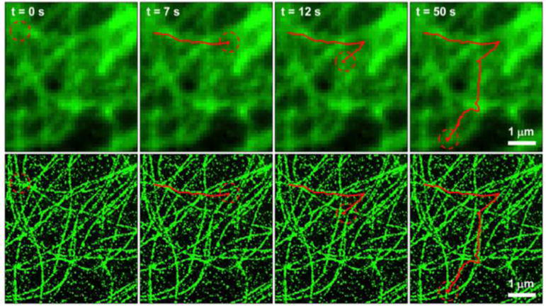 Figure 25