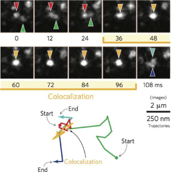 Figure 21