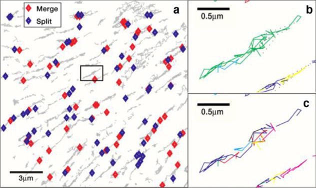 Figure 20