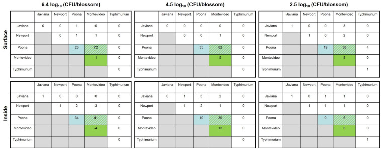 FIGURE 3