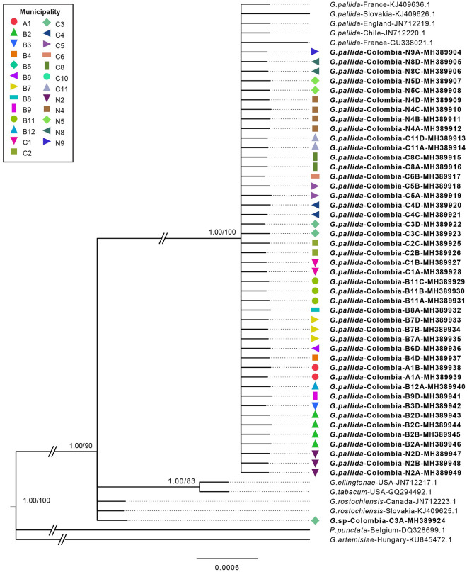 Fig 3