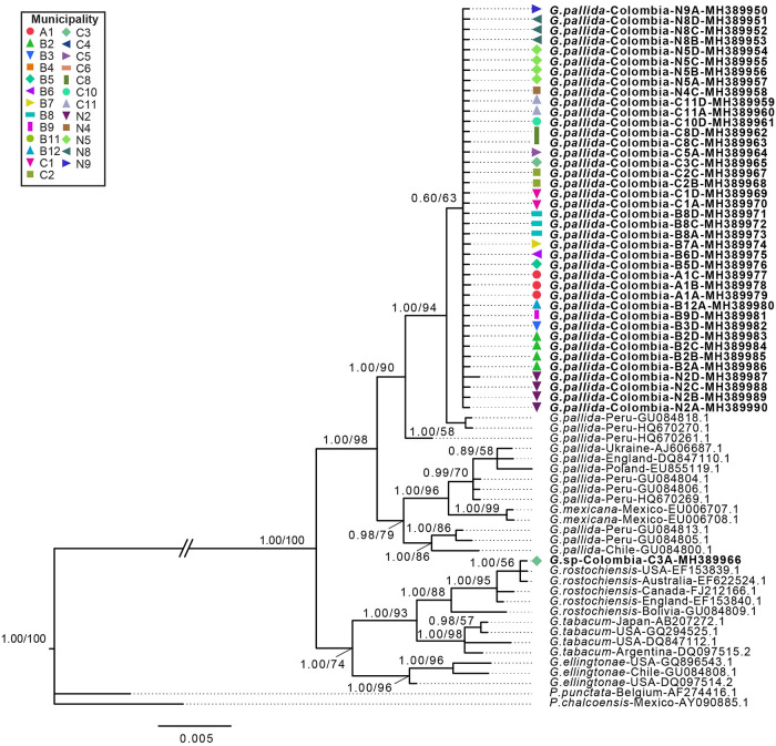 Fig 4