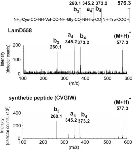 FIG. 6.