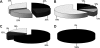 Fig. 8.