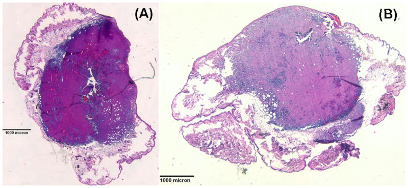 Fig. 10