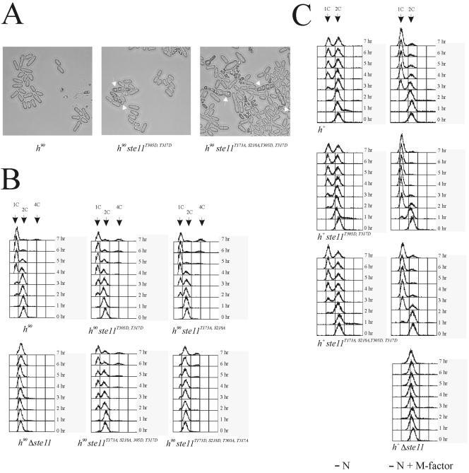 FIG. 8.