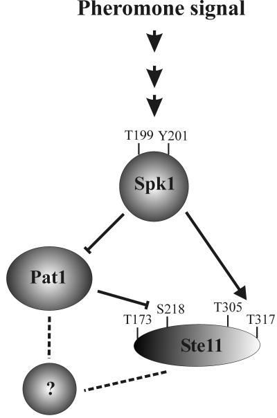 FIG. 9.