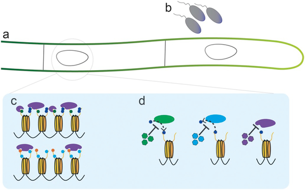 Fig. 3.