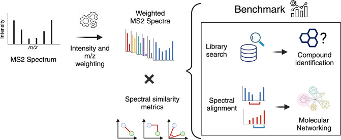 graphic file with name js3c00353_0005.jpg