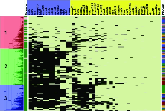 FIG. 2.