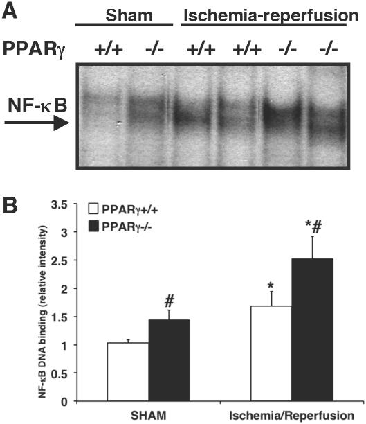 FIG. 6