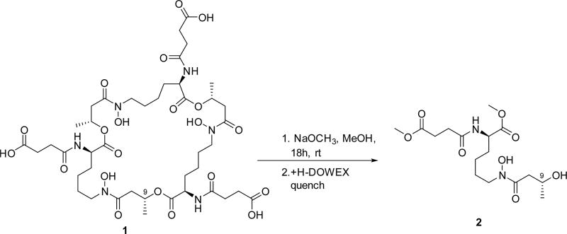 Scheme 1