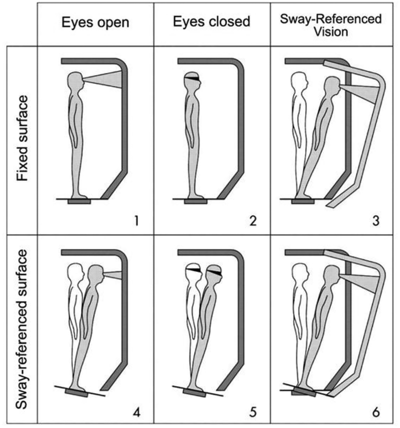 Figure 1: